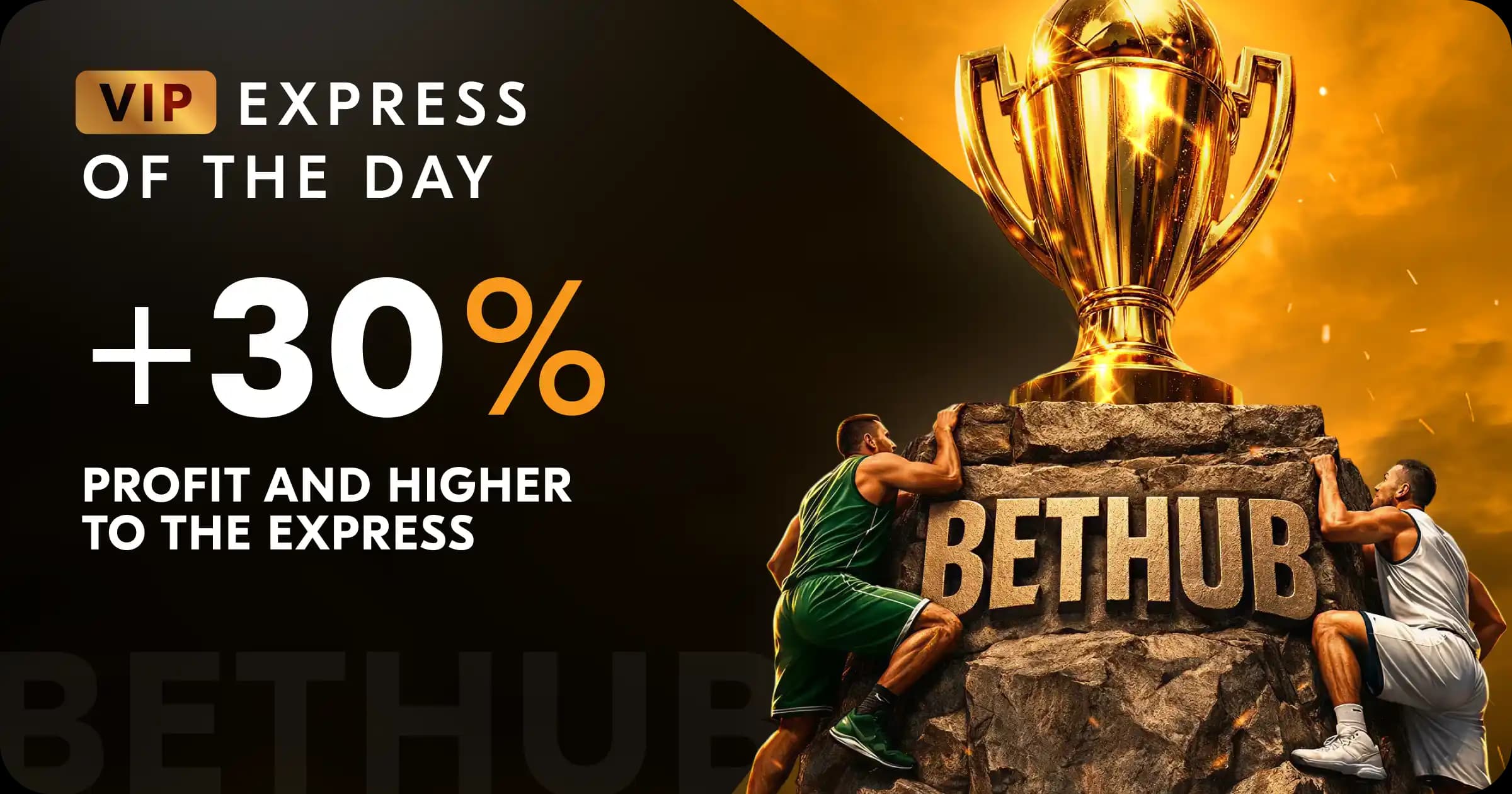 VIP EXPRESS OF THE DAY +30%